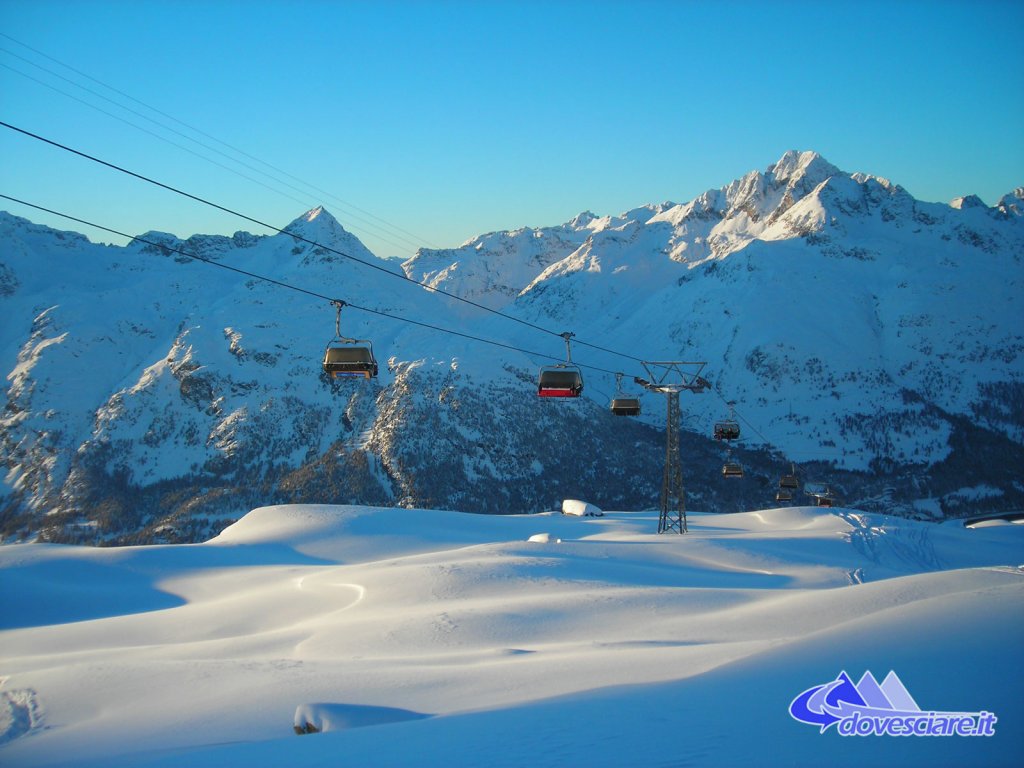 Clicca per vedere l'immagine alla massima grandezza