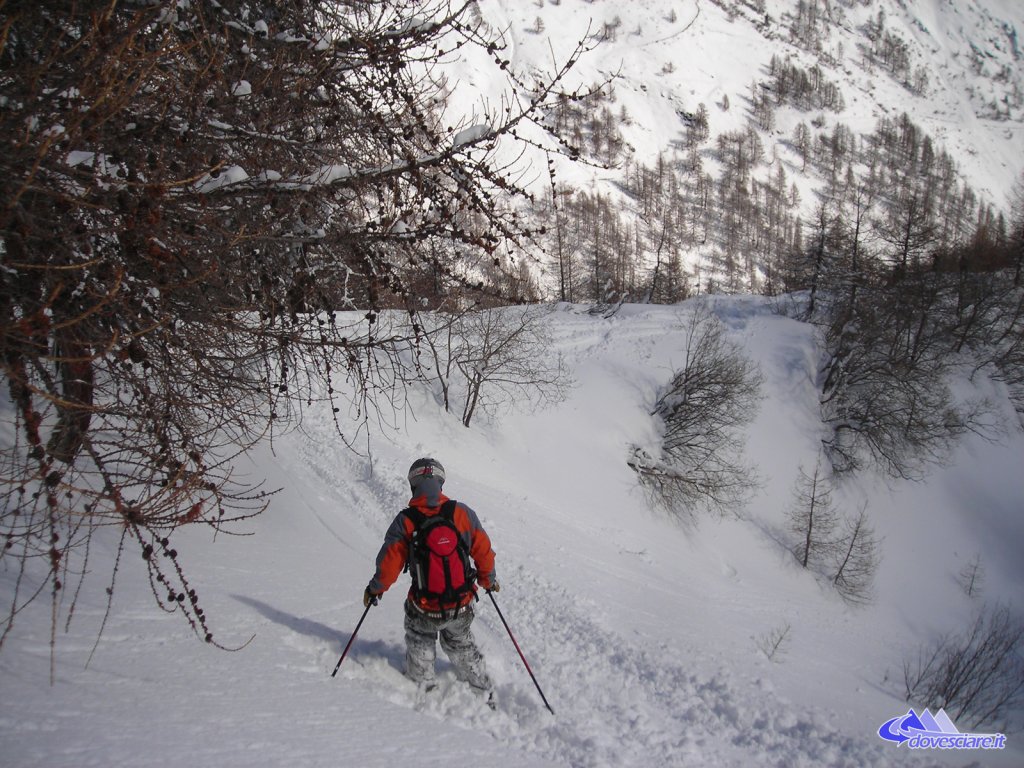 Clicca per vedere l'immagine alla massima grandezza