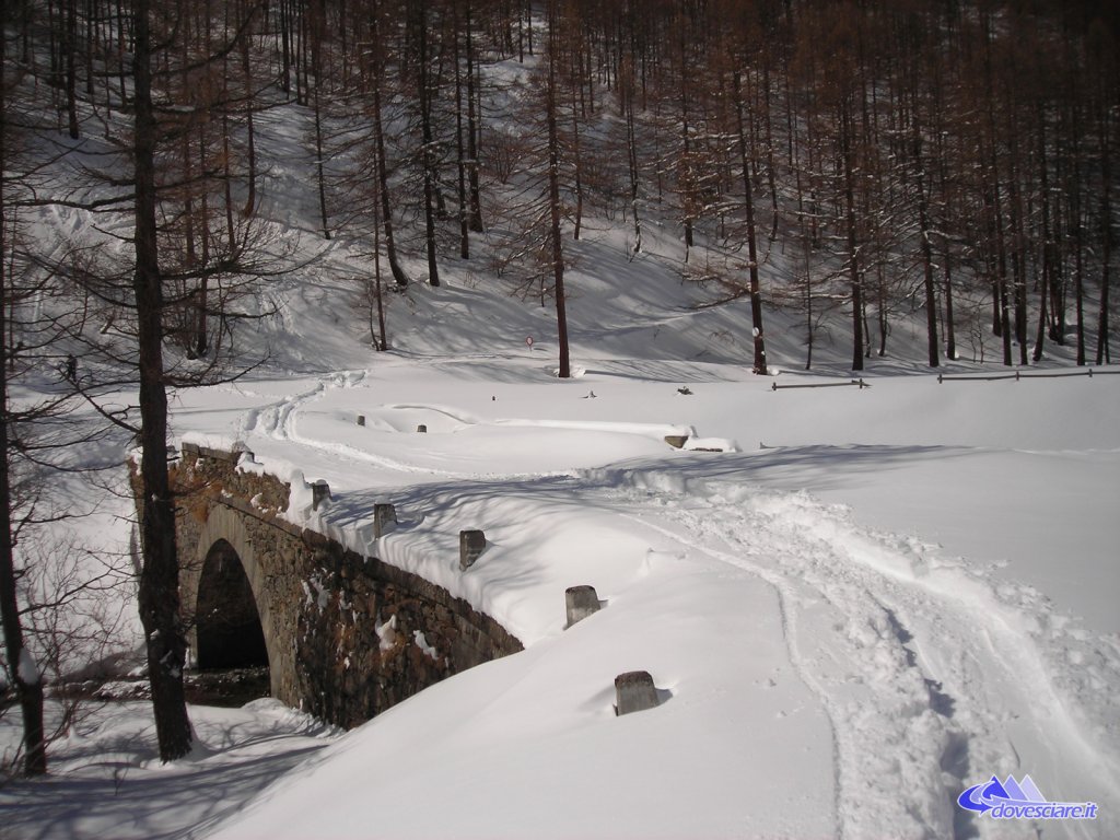 Clicca per vedere l'immagine alla massima grandezza