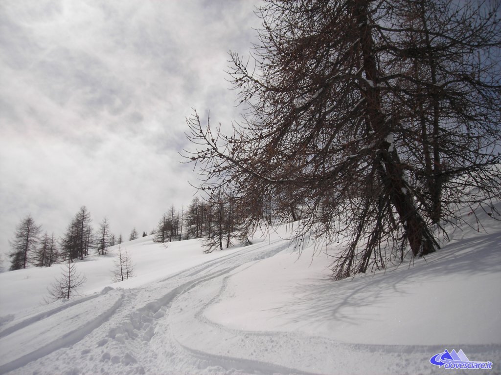 Clicca per vedere l'immagine alla massima grandezza