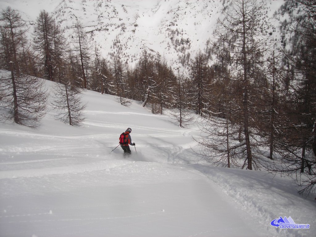 Clicca per vedere l'immagine alla massima grandezza