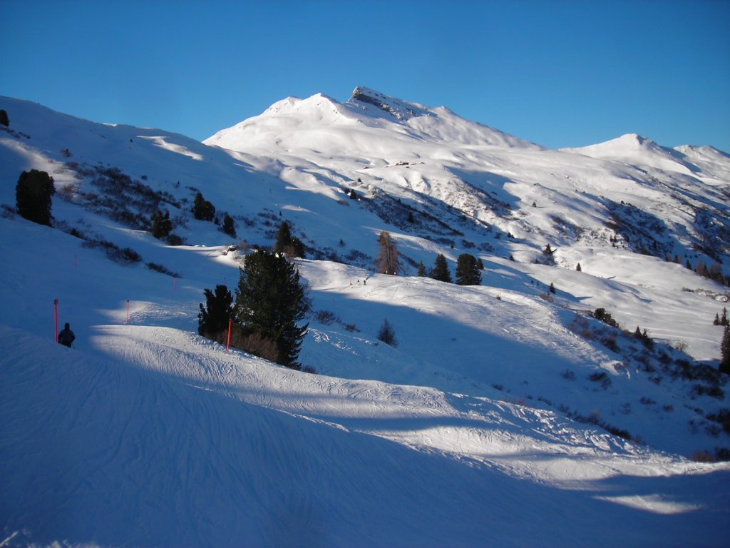 Clicca per vedere l'immagine alla massima grandezza