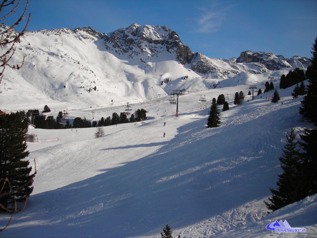 Clicca per vedere l'immagine alla massima grandezza