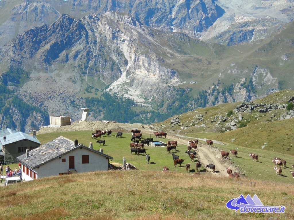 Clicca per vedere l'immagine alla massima grandezza