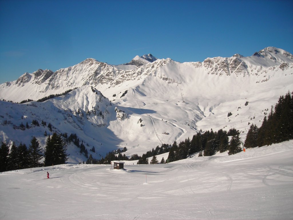 Clicca per vedere l'immagine alla massima grandezza