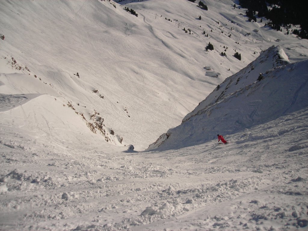 Clicca per vedere l'immagine alla massima grandezza