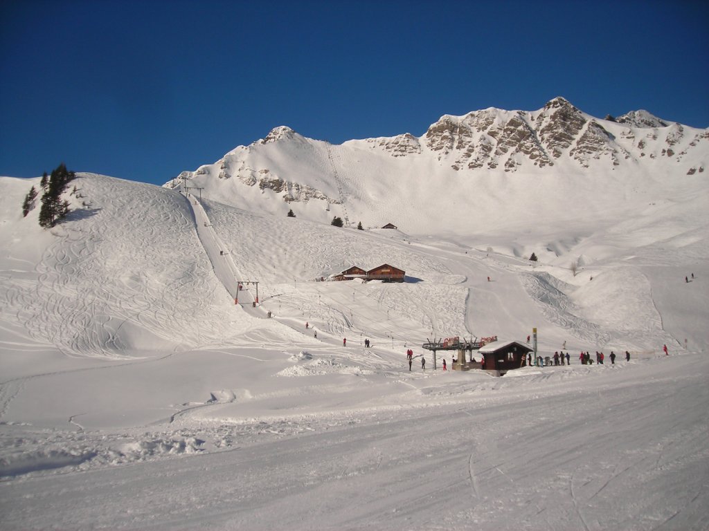 Clicca per vedere l'immagine alla massima grandezza