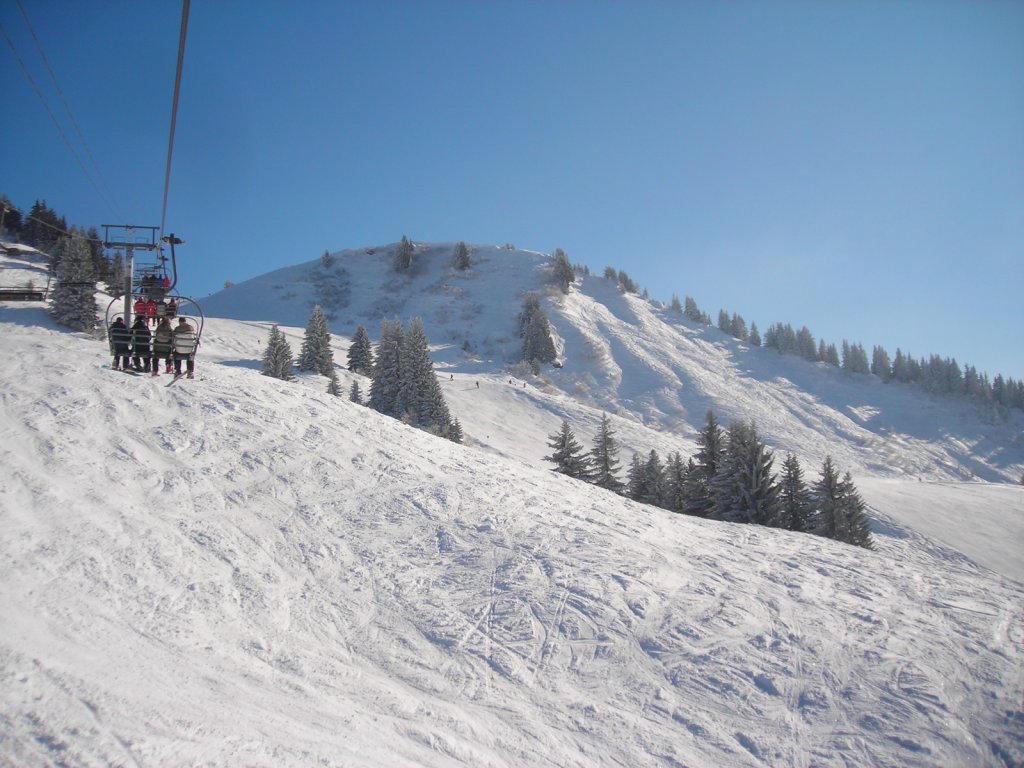 Clicca per vedere l'immagine alla massima grandezza