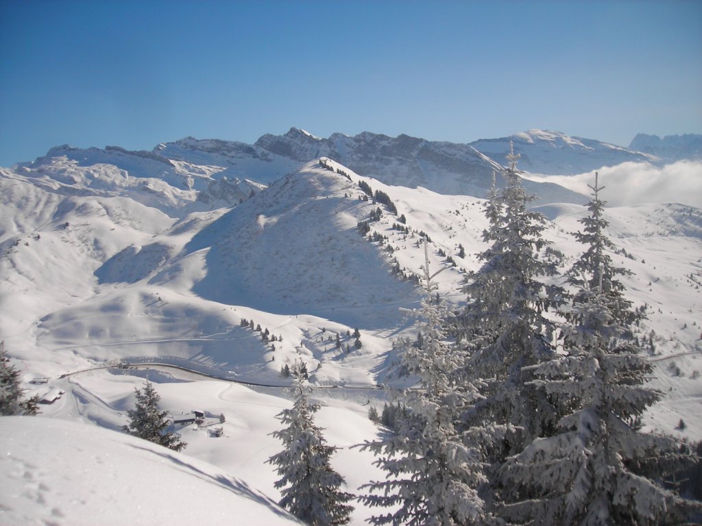 Clicca per vedere l'immagine alla massima grandezza