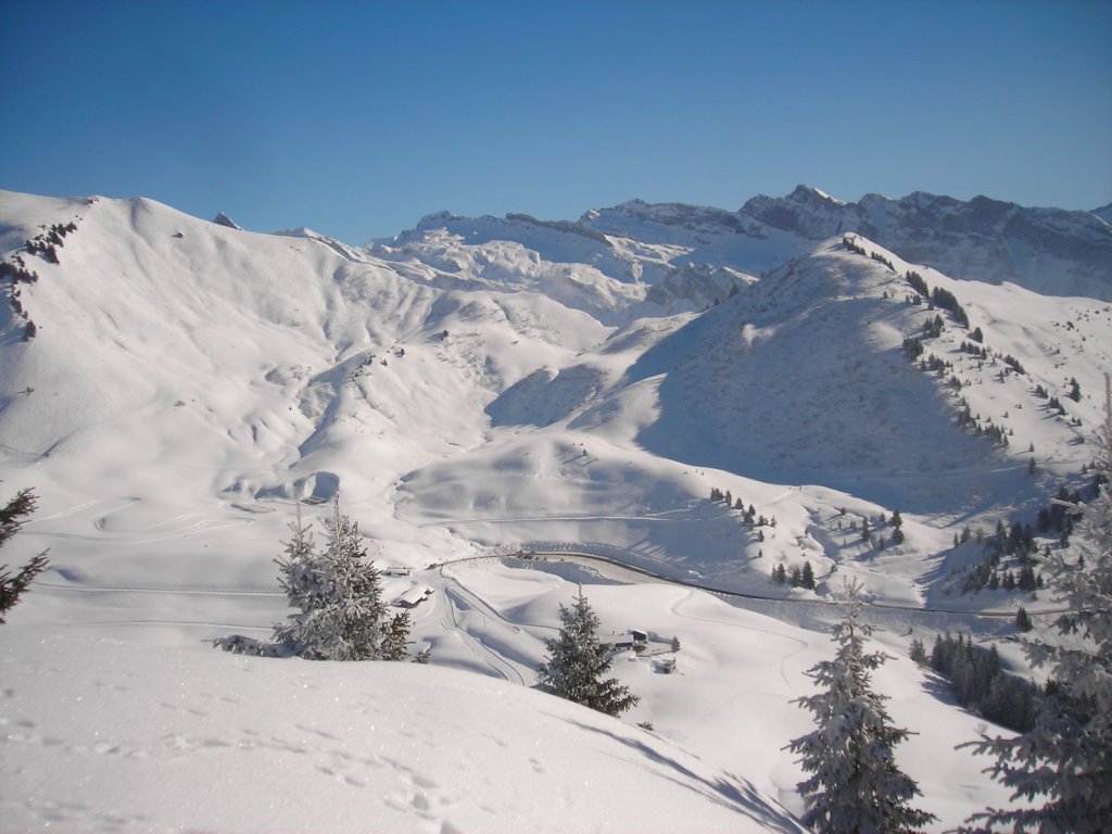 Clicca per vedere l'immagine alla massima grandezza