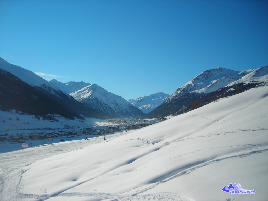 Clicca per vedere l'immagine alla massima grandezza