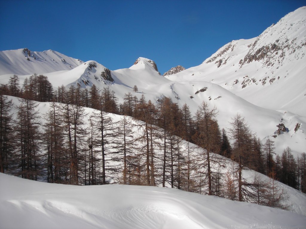 Clicca per vedere l'immagine alla massima grandezza