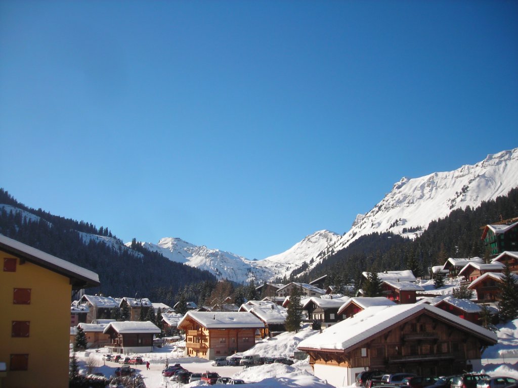 Clicca per vedere l'immagine alla massima grandezza