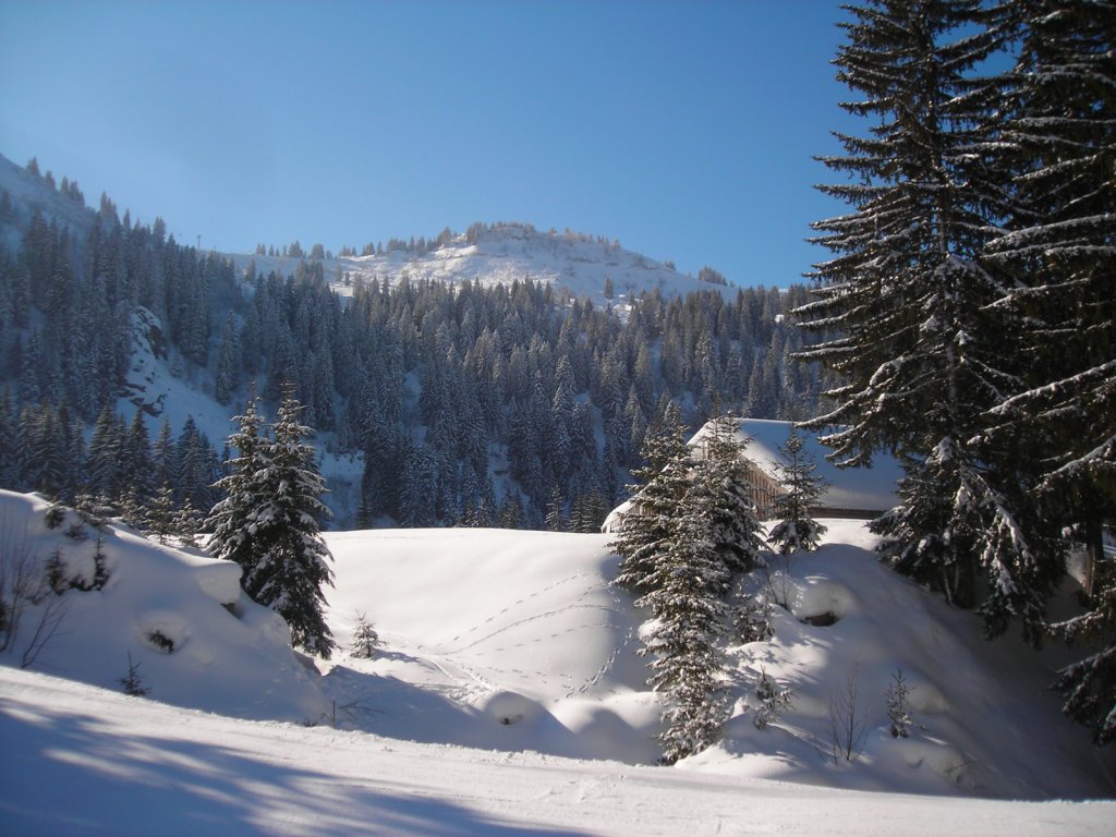 Clicca per vedere l'immagine alla massima grandezza