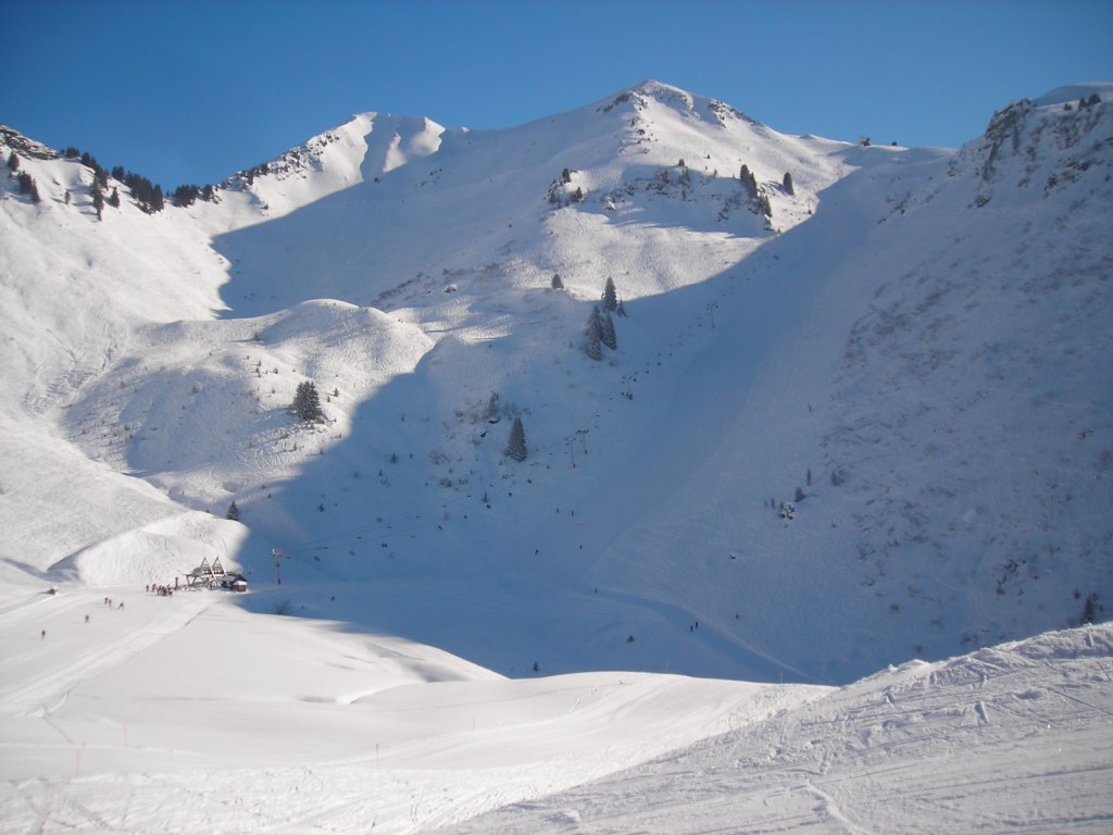 Clicca per vedere l'immagine alla massima grandezza