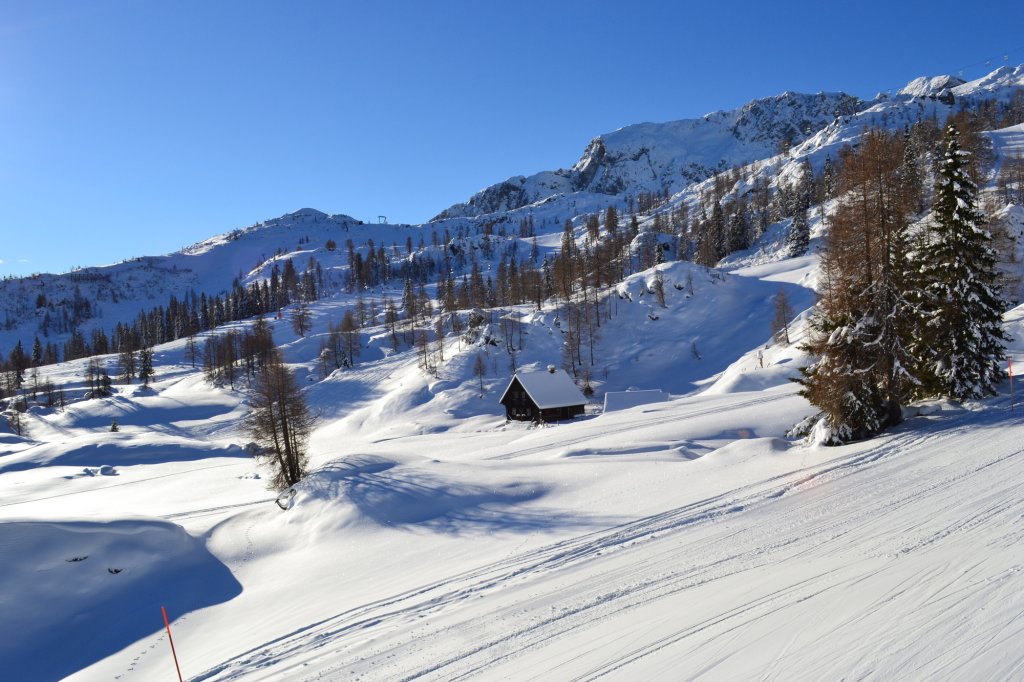 Clicca per vedere l'immagine alla massima grandezza