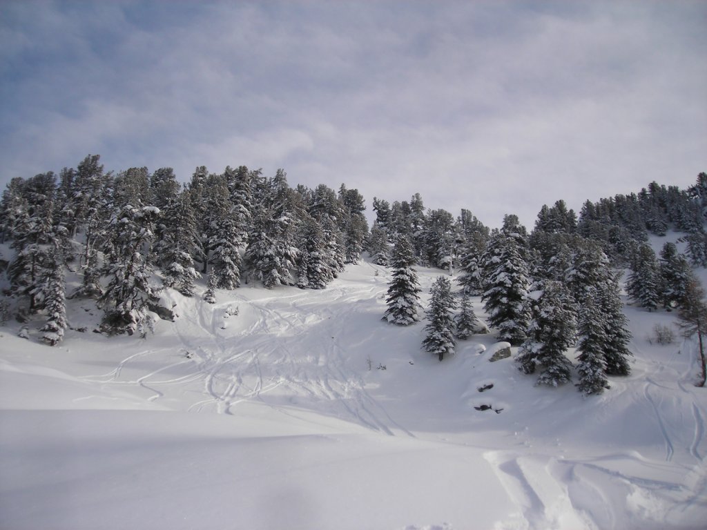 Clicca per vedere l'immagine alla massima grandezza