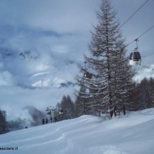 telecabina-nel-bosco.JPG