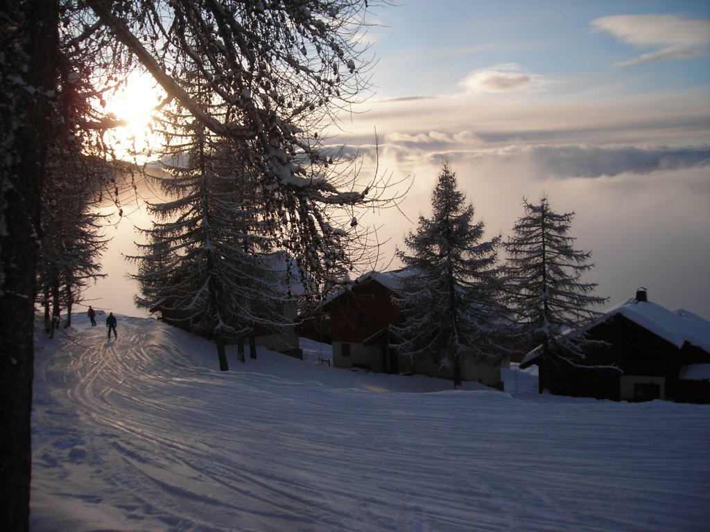 Clicca per vedere l'immagine alla massima grandezza