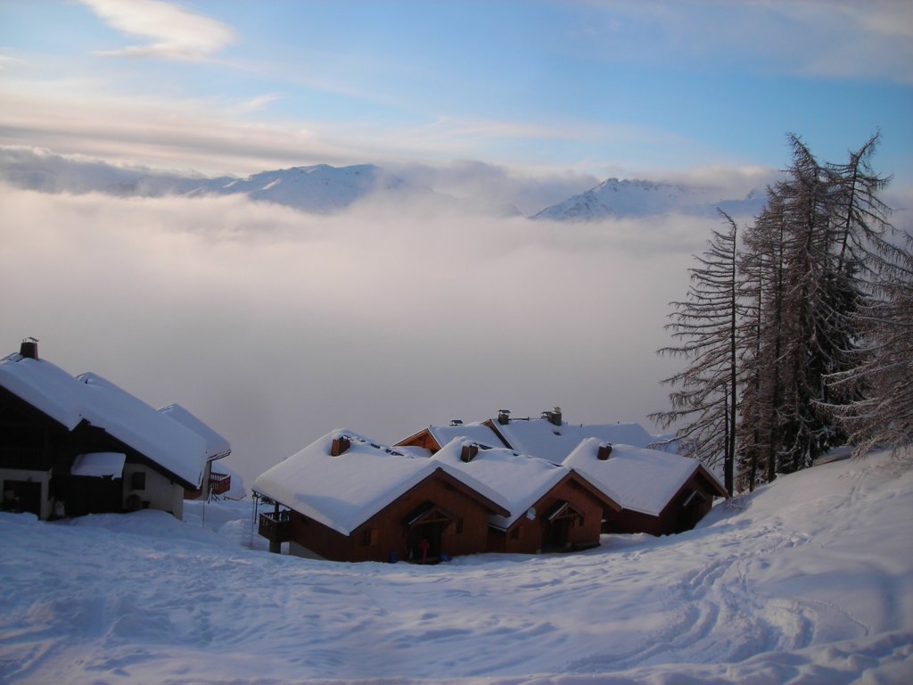 Clicca per vedere l'immagine alla massima grandezza