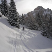 powder_peisey.jpg