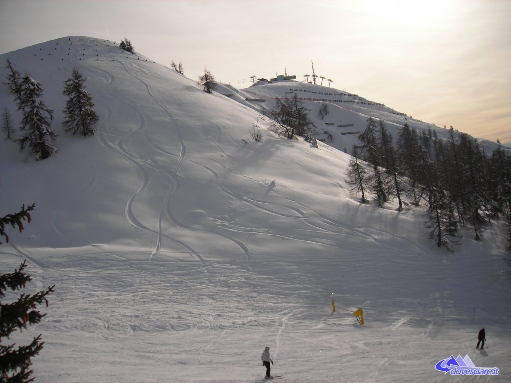 Clicca per vedere l'immagine alla massima grandezza