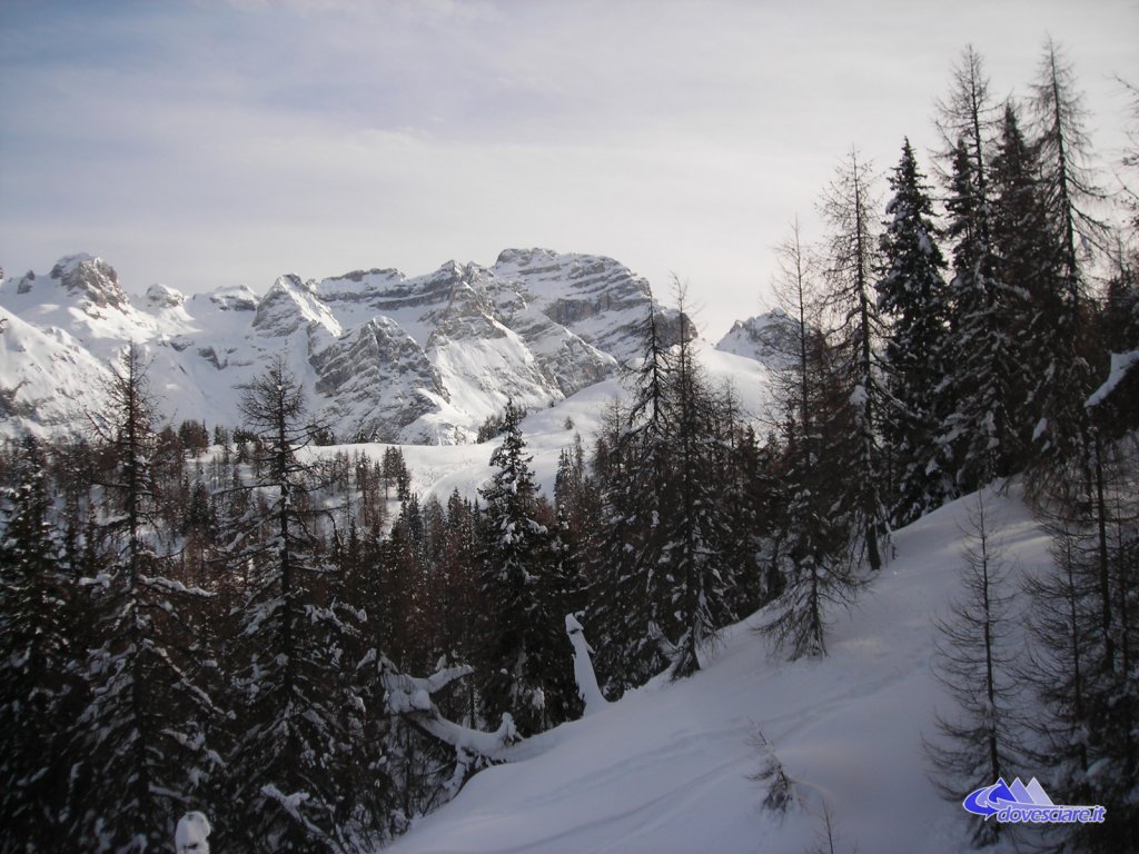 Clicca per vedere l'immagine alla massima grandezza