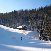 piste_nel_bosco_pinzolo.jpg