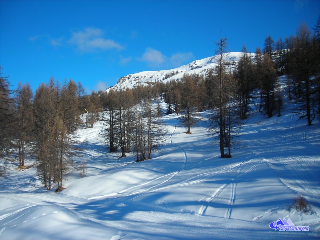 Clicca per vedere l'immagine alla massima grandezza