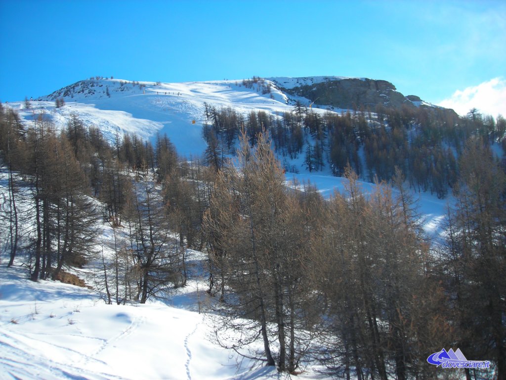 Clicca per vedere l'immagine alla massima grandezza