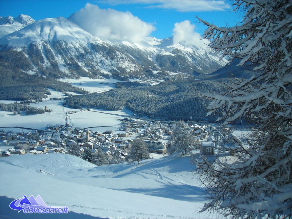 Clicca per vedere l'immagine alla massima grandezza