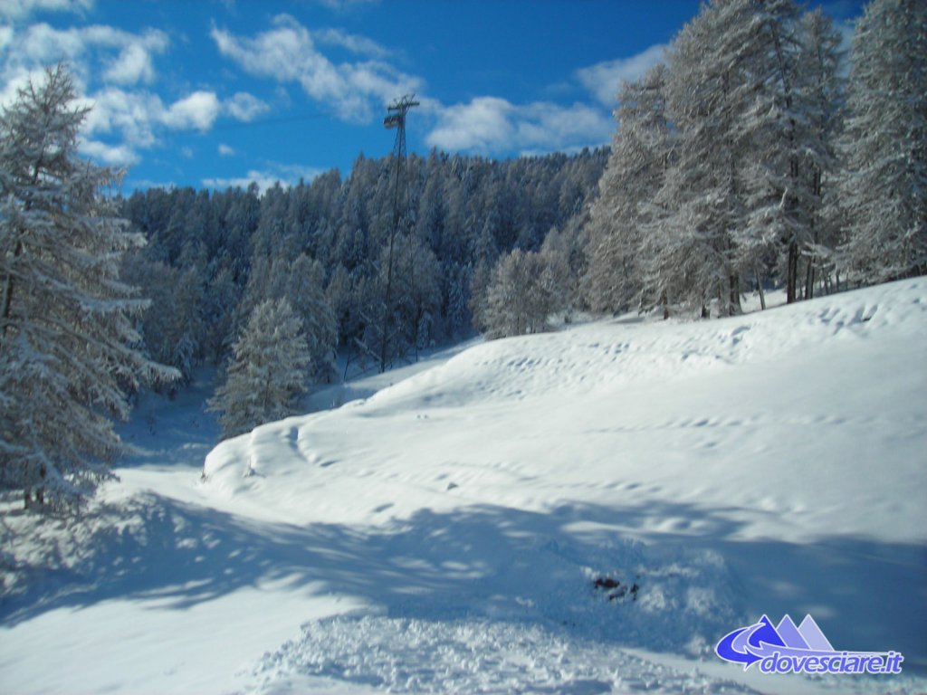 Clicca per vedere l'immagine alla massima grandezza