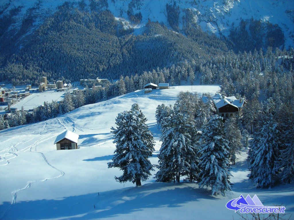 Clicca per vedere l'immagine alla massima grandezza