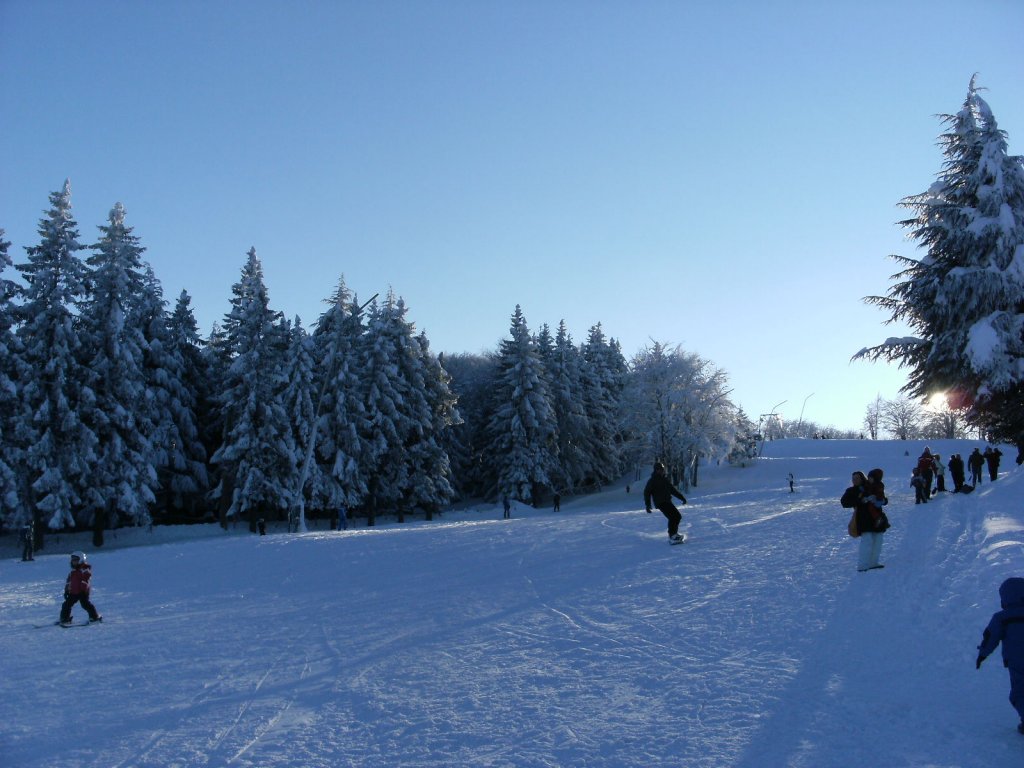 Clicca per vedere l'immagine alla massima grandezza