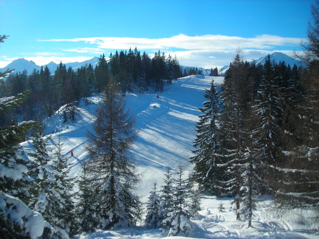 Clicca per vedere l'immagine alla massima grandezza