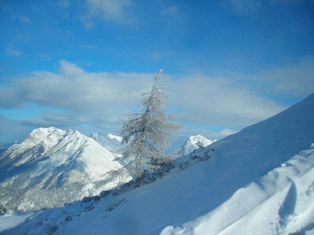 Clicca per vedere l'immagine alla massima grandezza