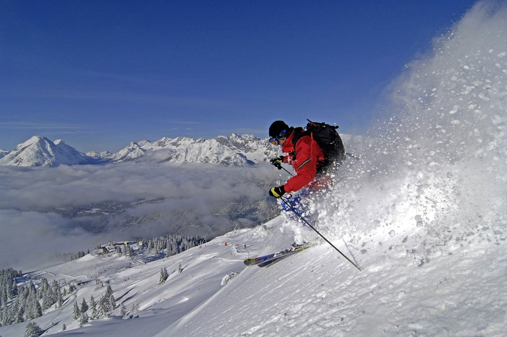 Clicca per vedere l'immagine alla massima grandezza