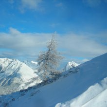 larici-seefeld.jpg