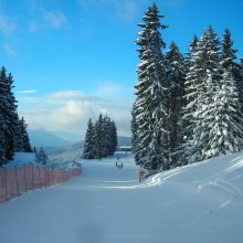 piste-seefeld.jpg