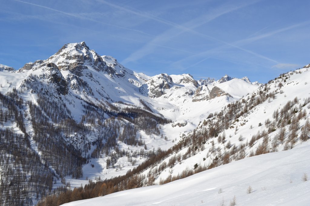 Clicca per vedere l'immagine alla massima grandezza