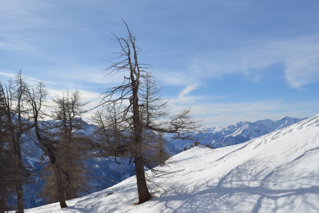 Clicca per vedere l'immagine alla massima grandezza