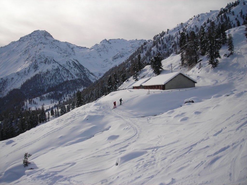 Clicca per vedere l'immagine alla massima grandezza