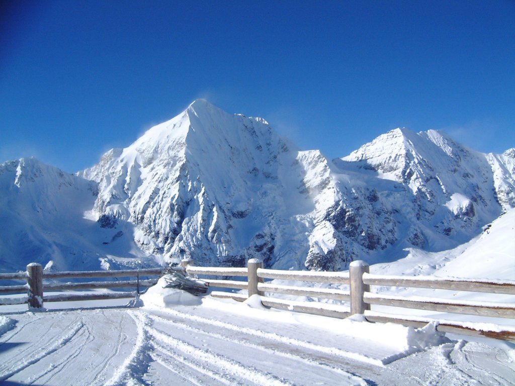 Clicca per vedere l'immagine alla massima grandezza