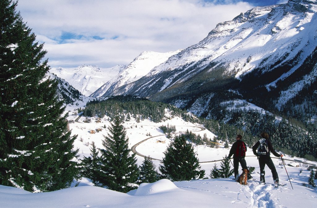 Clicca per vedere l'immagine alla massima grandezza