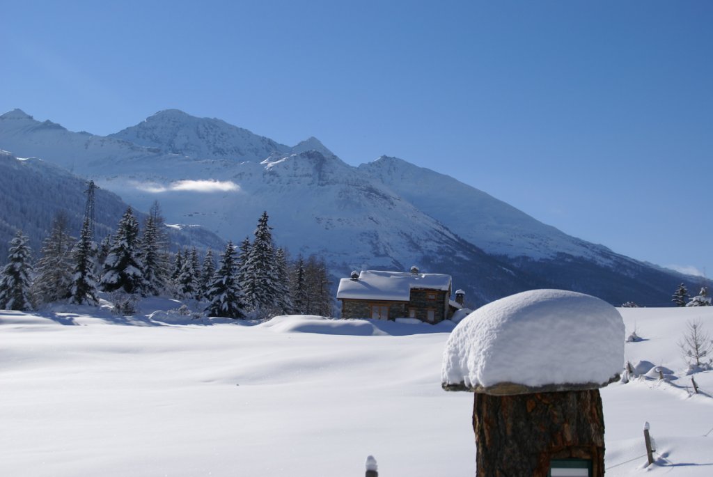 Clicca per vedere l'immagine alla massima grandezza