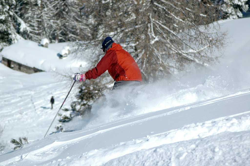 Clicca per vedere l'immagine alla massima grandezza