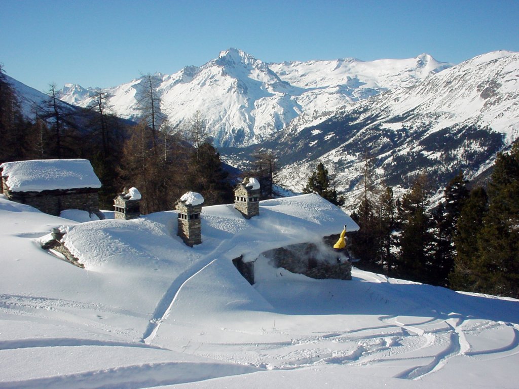 Clicca per vedere l'immagine alla massima grandezza