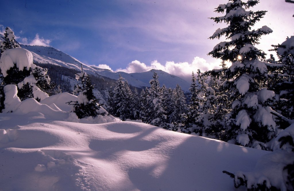 Clicca per vedere l'immagine alla massima grandezza