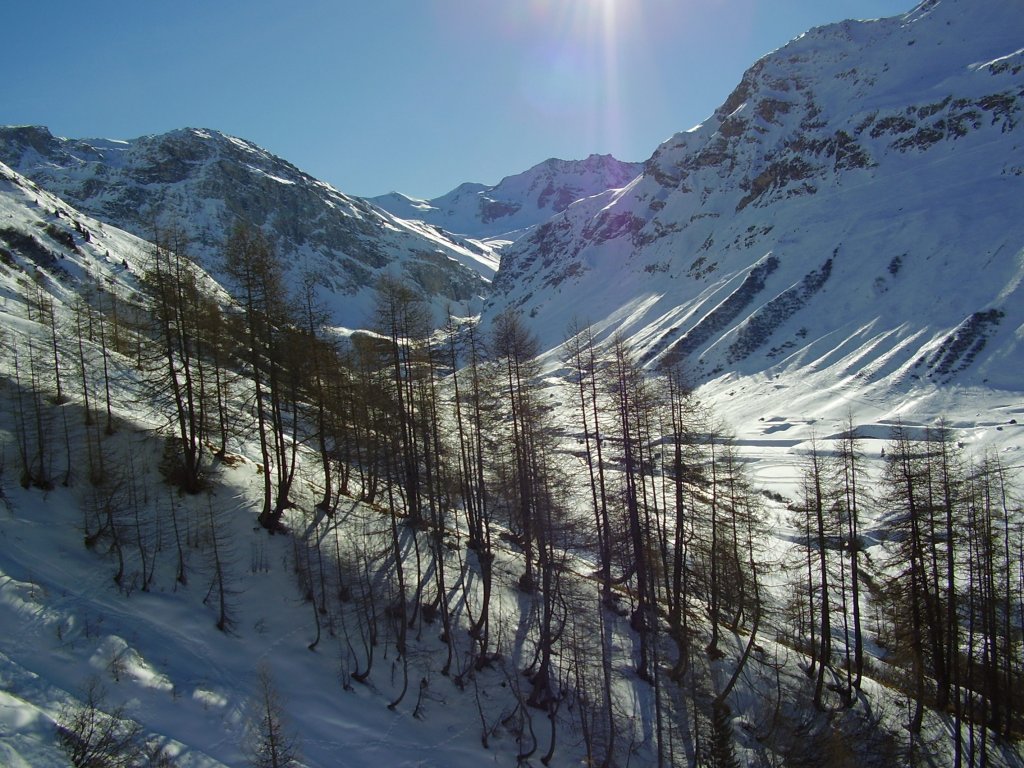 Clicca per vedere l'immagine alla massima grandezza