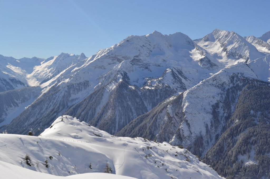 Clicca per vedere l'immagine alla massima grandezza